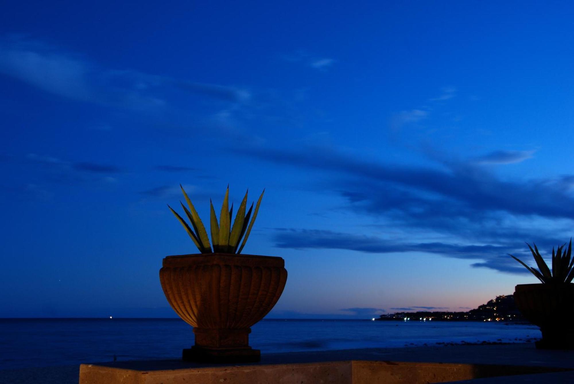 Hotel Casa Costa Azul à San José del Cabo Extérieur photo