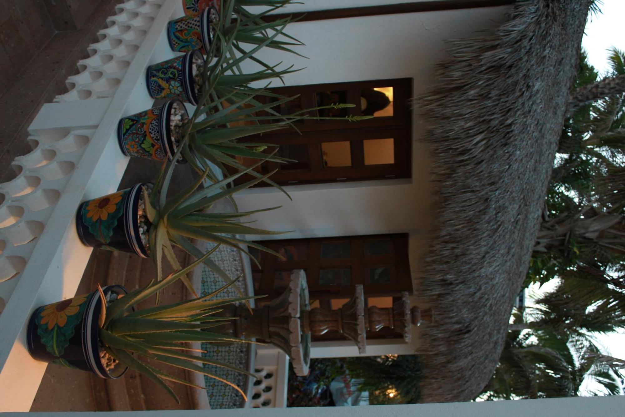 Hotel Casa Costa Azul à San José del Cabo Extérieur photo