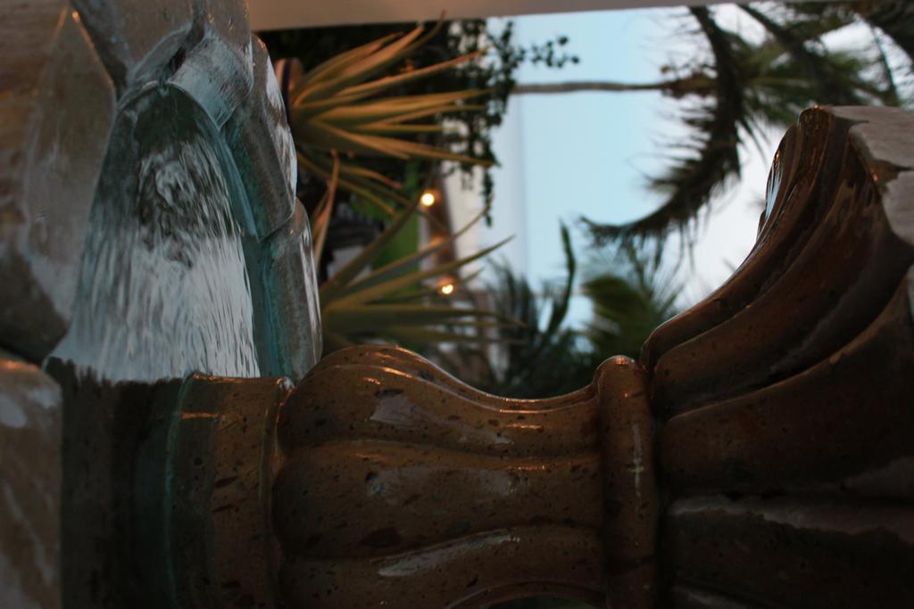 Hotel Casa Costa Azul à San José del Cabo Extérieur photo