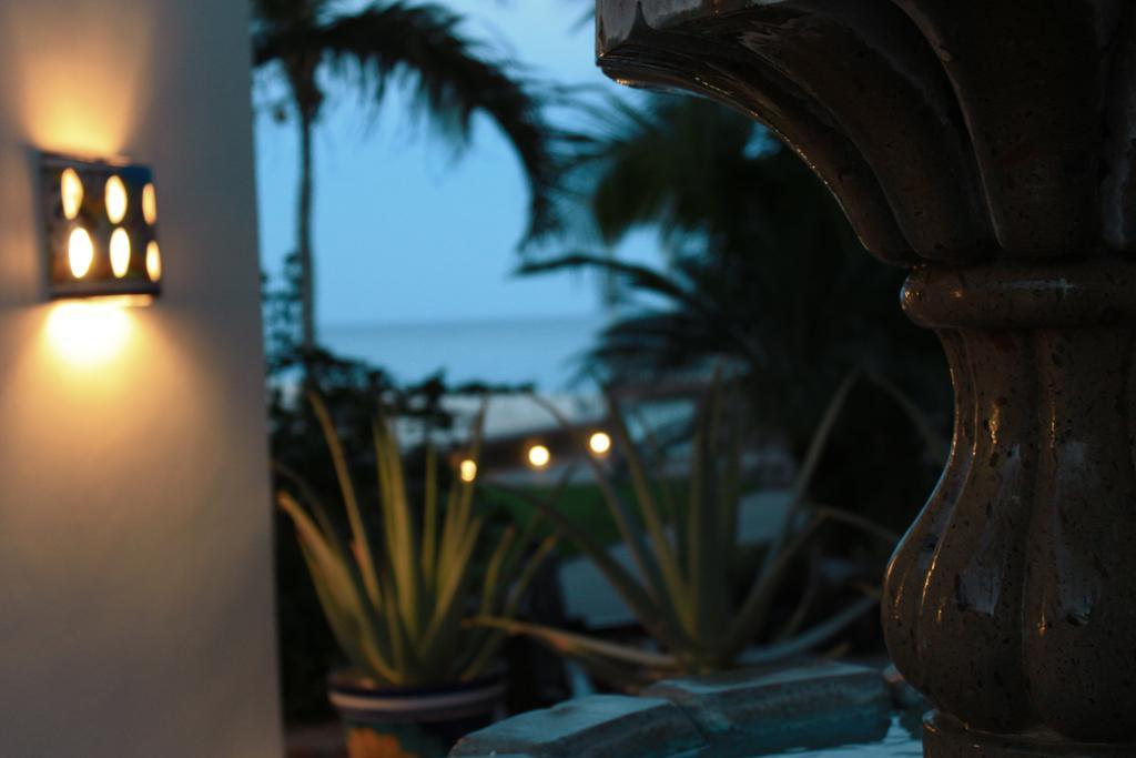 Hotel Casa Costa Azul à San José del Cabo Extérieur photo