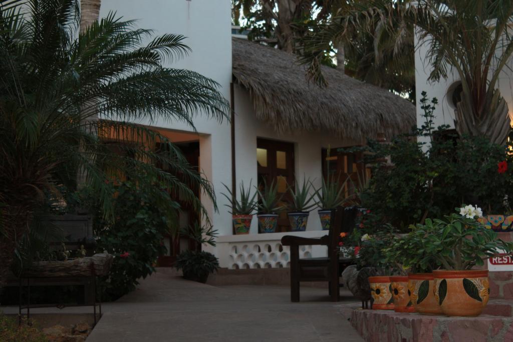 Hotel Casa Costa Azul à San José del Cabo Extérieur photo