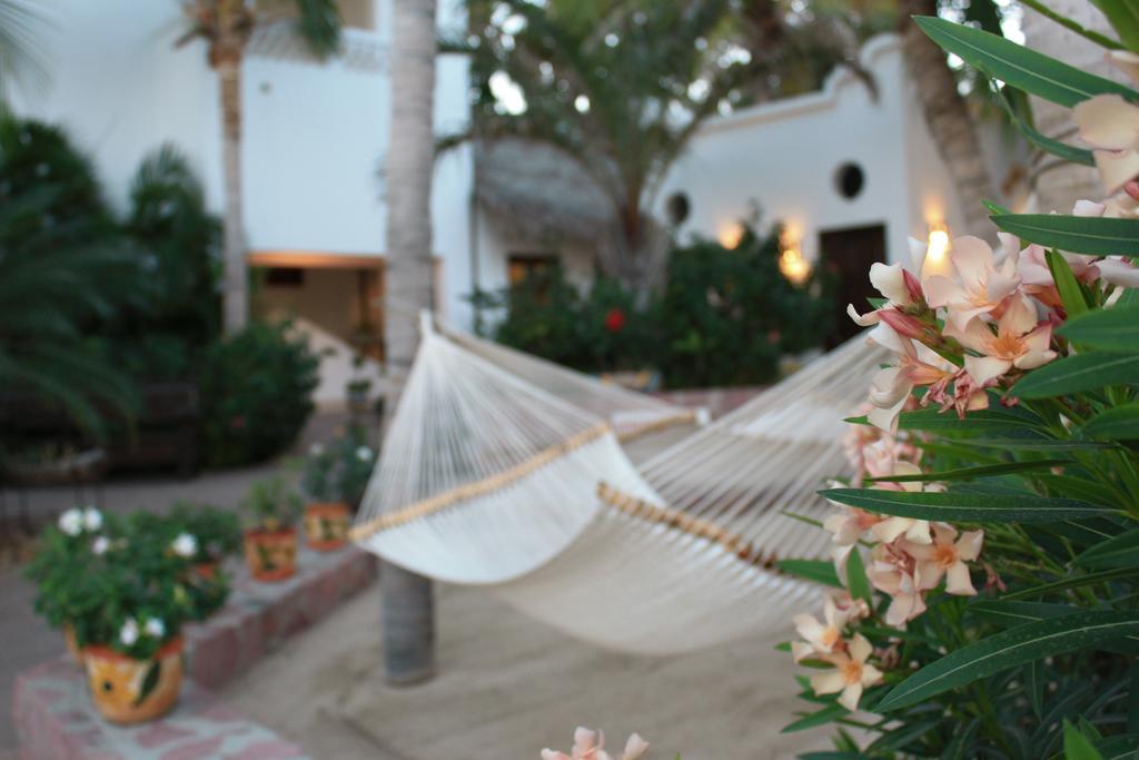 Hotel Casa Costa Azul à San José del Cabo Extérieur photo