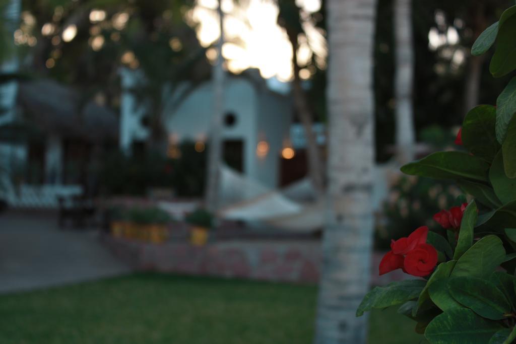 Hotel Casa Costa Azul à San José del Cabo Extérieur photo