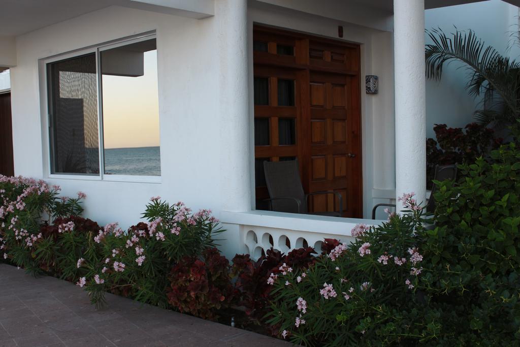 Hotel Casa Costa Azul à San José del Cabo Extérieur photo